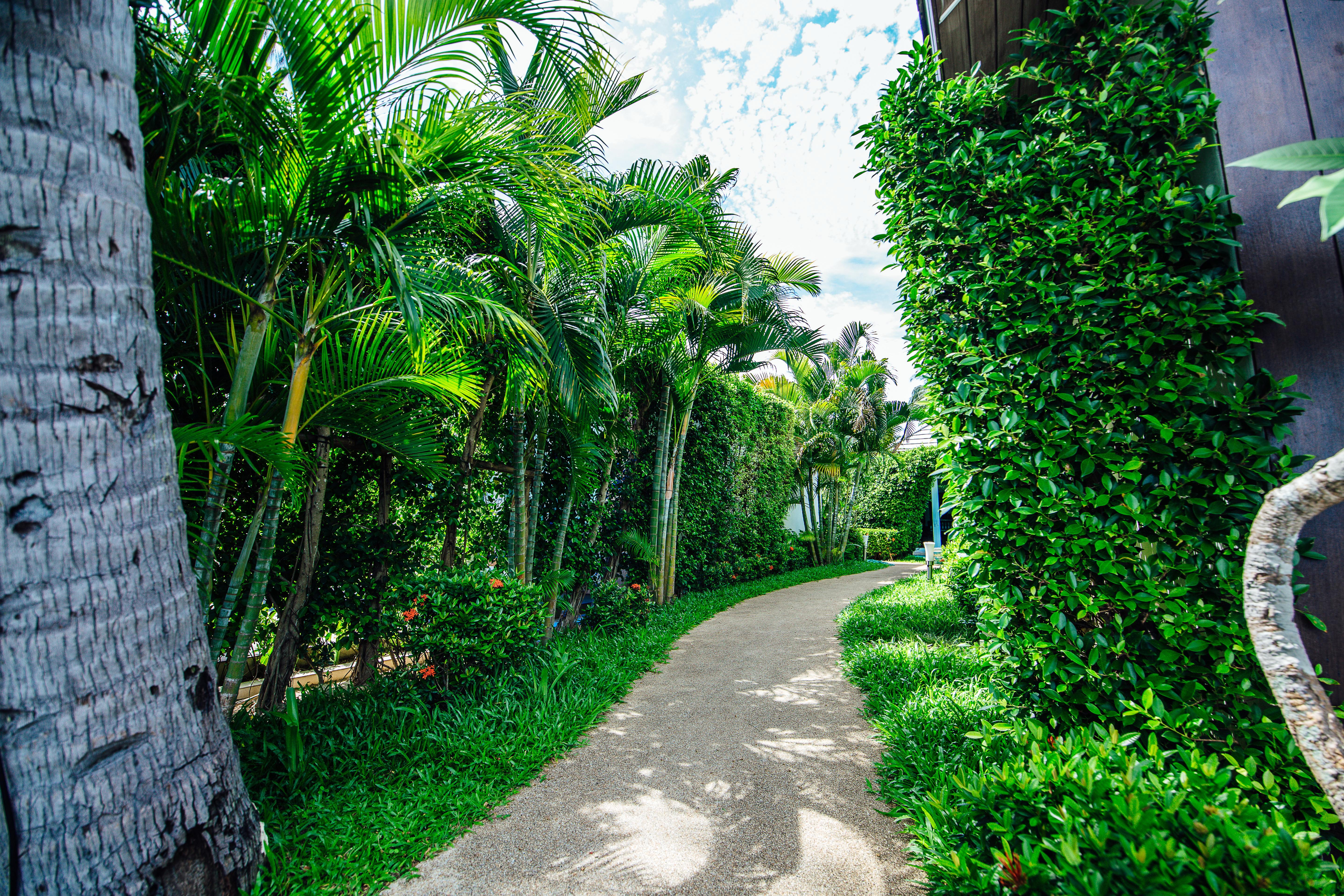 Sea Valley Hotel & Spa Lipa Noi Exterior foto